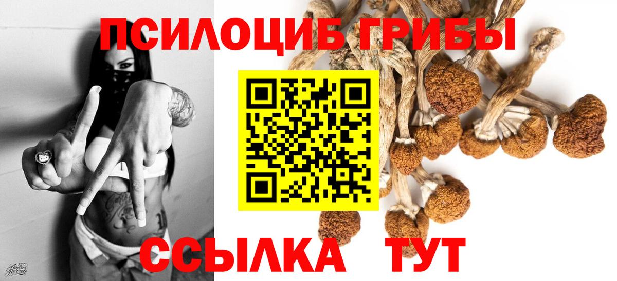 Галлюциногенные грибы мицелий Барнаул