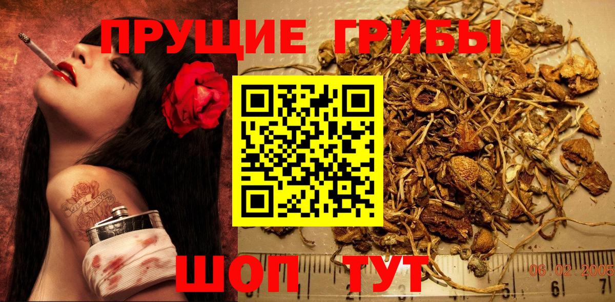 Галлюциногенные грибы Magic Shrooms  Вход с VPN  Барнаул 